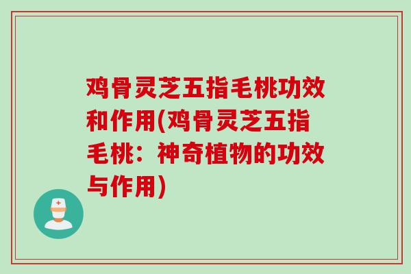 鸡骨灵芝五指毛桃功效和作用(鸡骨灵芝五指毛桃：神奇植物的功效与作用)