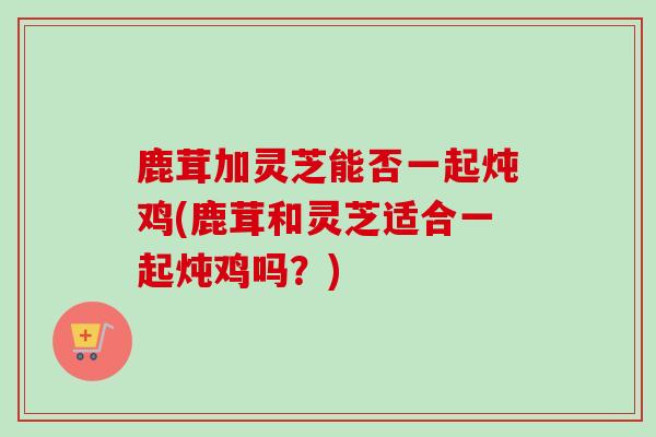 鹿茸加灵芝能否一起炖鸡(鹿茸和灵芝适合一起炖鸡吗？)
