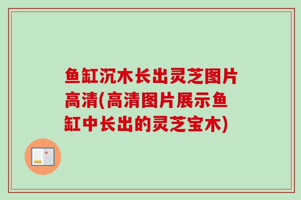 鱼缸沉木长出灵芝图片高清(高清图片展示鱼缸中长出的灵芝宝木)