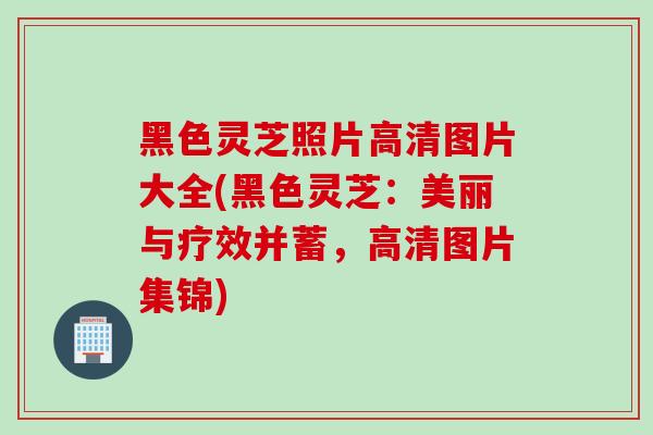黑色灵芝照片高清图片大全(黑色灵芝：美丽与疗效并蓄，高清图片集锦)