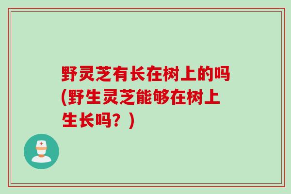 野灵芝有长在树上的吗(野生灵芝能够在树上生长吗？)
