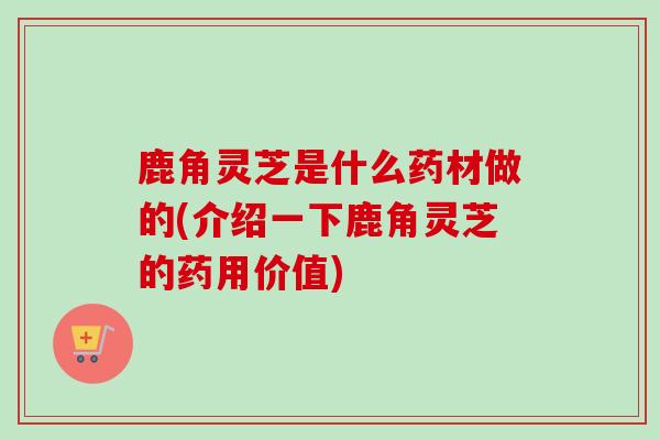 鹿角灵芝是什么药材做的(介绍一下鹿角灵芝的药用价值) 鹿角灵芝是什么药材做的(介绍一下鹿角灵芝的药用价值)