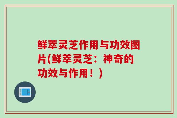 鲜萃灵芝作用与功效图片(鲜萃灵芝：神奇的功效与作用！)