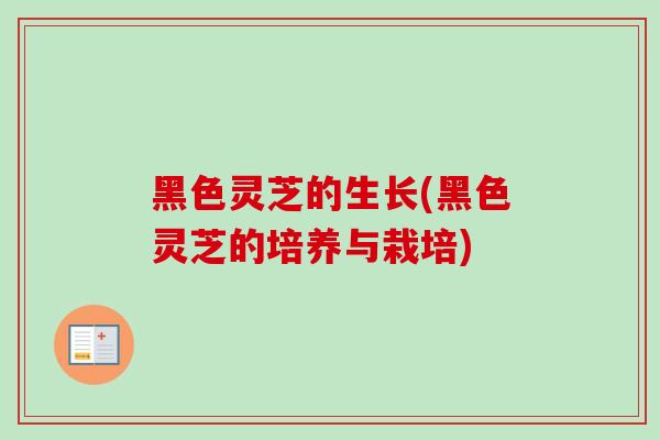 黑色灵芝的生长(黑色灵芝的培养与栽培)