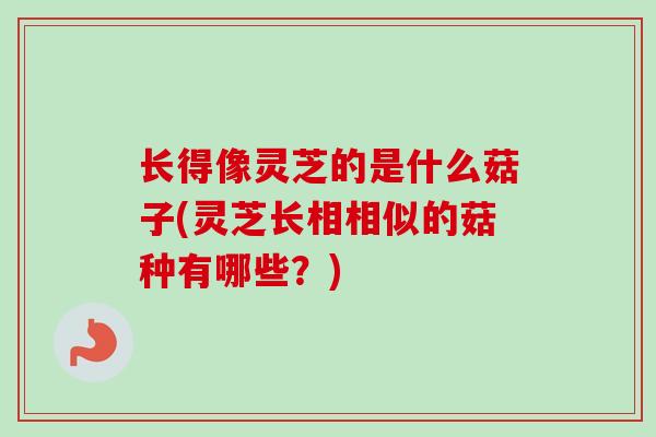长得像灵芝的是什么菇子(灵芝长相相似的菇种有哪些？)