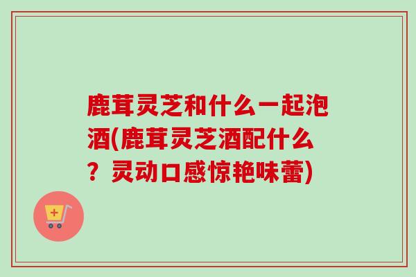 鹿茸灵芝和什么一起泡酒(鹿茸灵芝酒配什么？灵动口感惊艳味蕾)