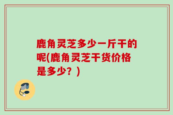 鹿角灵芝多少一斤干的呢(鹿角灵芝干货价格是多少？)