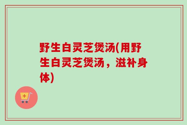 野生白灵芝煲汤(用野生白灵芝煲汤，滋补身体)