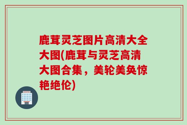 鹿茸灵芝图片高清大全大图(鹿茸与灵芝高清大图合集，美轮美奂惊艳绝伦)