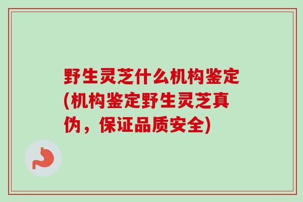 野生灵芝什么机构鉴定(机构鉴定野生灵芝真伪,保证品质安全) 野生灵芝什么机构鉴定(机构鉴定野生灵芝真伪,保证品质安全)