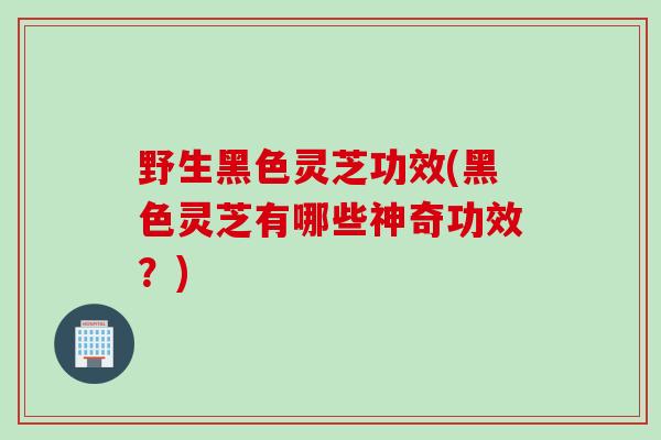 野生黑色灵芝功效(黑色灵芝有哪些神奇功效？)