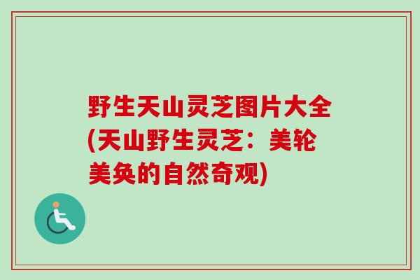 野生天山灵芝图片大全(天山野生灵芝：美轮美奂的自然奇观)