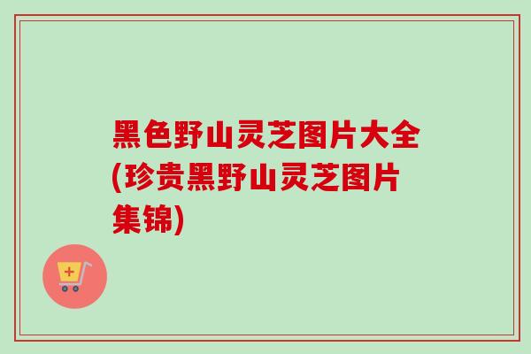 黑色野山灵芝图片大全(珍贵黑野山灵芝图片集锦)