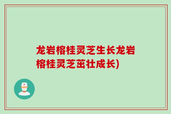龙岩榕桂灵芝生长龙岩榕桂灵芝茁壮成长)