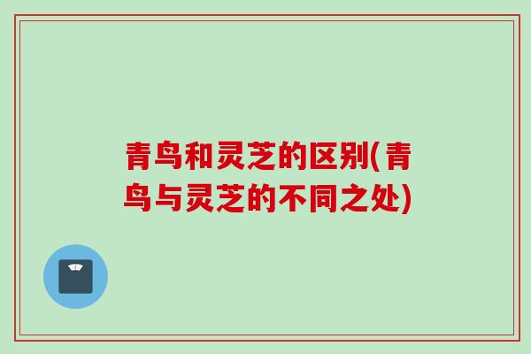 青鸟和灵芝的区别(青鸟与灵芝的不同之处)