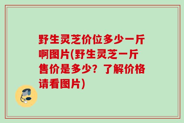 野生灵芝价位多少一斤啊图片(野生灵芝一斤售价是多少?了解价格请看图片) 野生灵芝价位多少一斤啊图片(野生灵芝一斤售价是多少?了解价格请看图片)