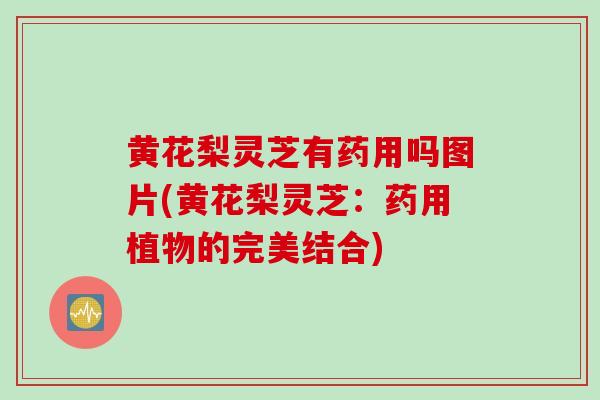 黄花梨灵芝有药用吗图片(黄花梨灵芝：药用植物的完美结合)
