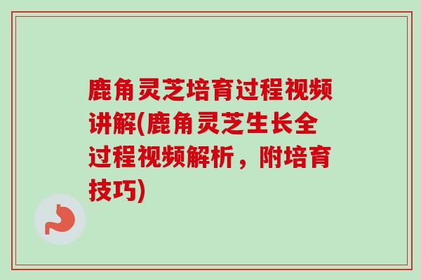鹿角灵芝培育过程视频讲解(鹿角灵芝生长全过程视频解析，附培育技巧)