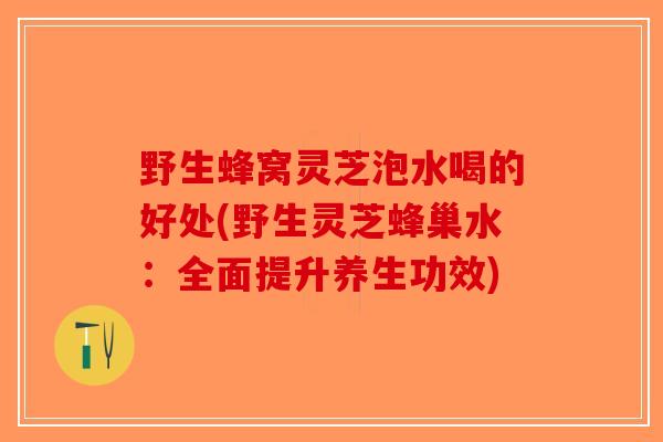 野生蜂窝灵芝泡水喝的好处(野生灵芝蜂巢水：全面提升养生功效)
