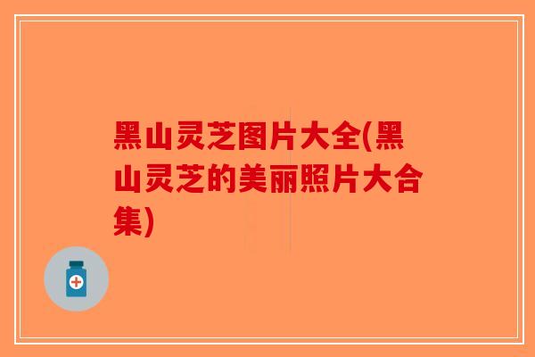 黑山灵芝图片大全(黑山灵芝的美丽照片大合集)