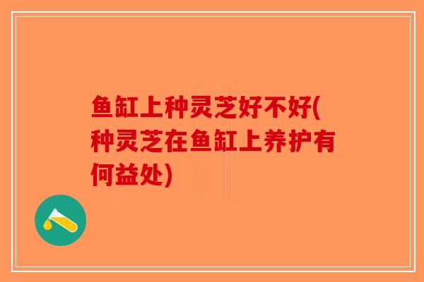 鱼缸上种灵芝好不好(种灵芝在鱼缸上养护有何益处)