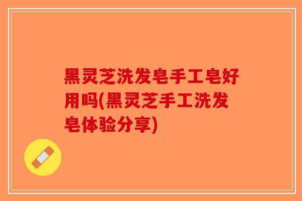 黑灵芝洗发皂手工皂好用吗(黑灵芝手工洗发皂体验分享)
