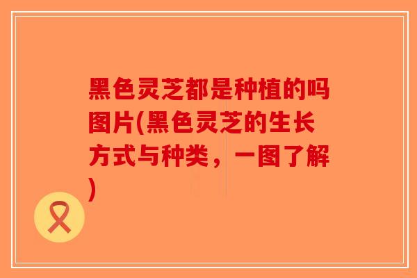 黑色灵芝都是种植的吗图片(黑色灵芝的生长方式与种类，一图了解)