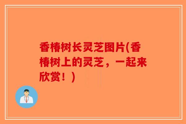 香椿树长灵芝图片(香椿树上的灵芝，一起来欣赏！)