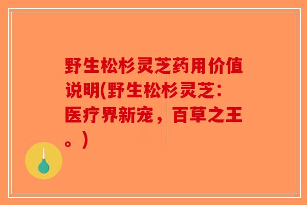 野生松杉灵芝药用价值说明(野生松杉灵芝：医疗界新宠，百草之王。)