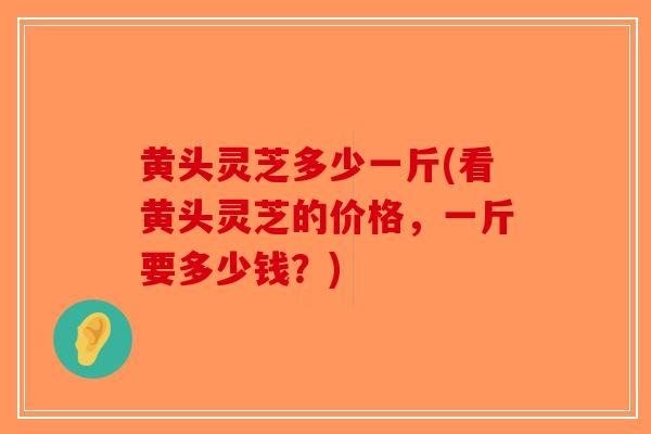 黄头灵芝多少一斤(看黄头灵芝的价格，一斤要多少钱？)