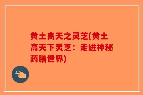黄土高天之灵芝(黄土高天下灵芝：走进神秘药膳世界)