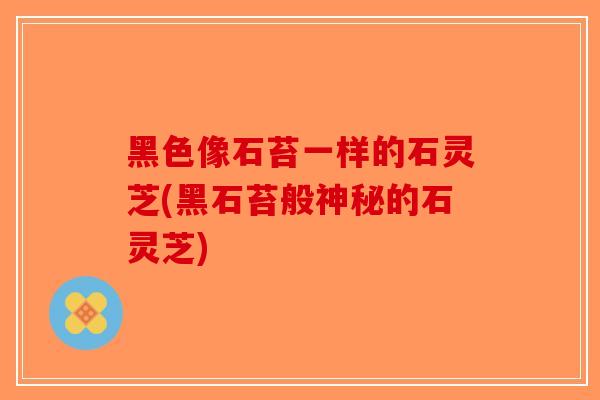 黑色像石苔一样的石灵芝(黑石苔般神秘的石灵芝)