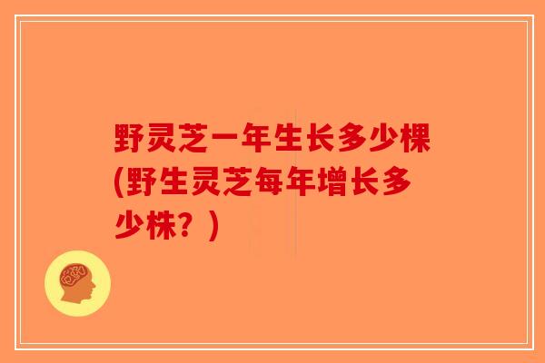 野灵芝一年生长多少棵(野生灵芝每年增长多少株?) 野灵芝一年生长多少棵(野生灵芝每年增长多少株?)