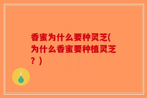 香蜜为什么要种灵芝(为什么香蜜要种植灵芝？)