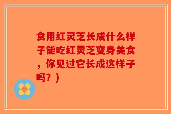 食用红灵芝长成什么样子能吃红灵芝变身美食，你见过它长成这样子吗？)