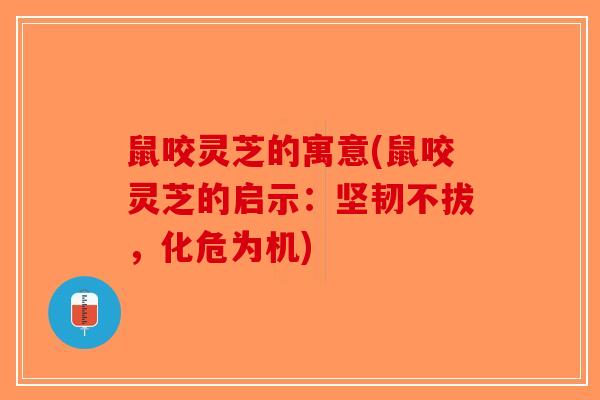 鼠咬灵芝的寓意(鼠咬灵芝的启示：坚韧不拔，化危为机)