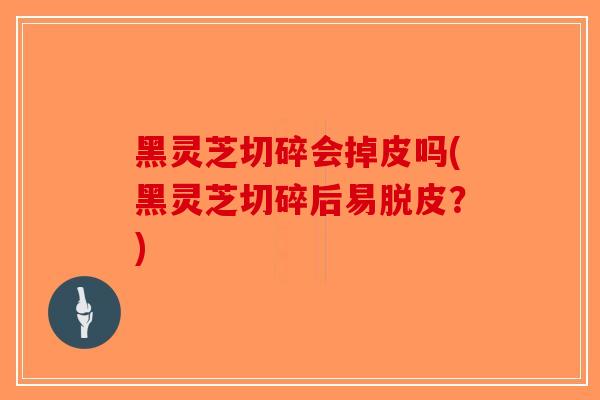 黑灵芝切碎会掉皮吗(黑灵芝切碎后易脱皮？)
