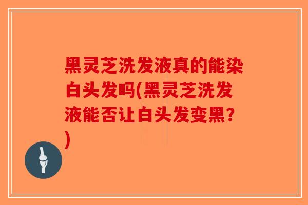 黑灵芝洗发液真的能染白头发吗(黑灵芝洗发液能否让白头发变黑？)