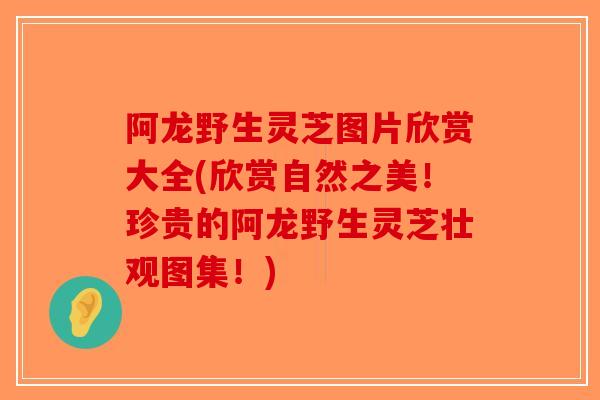 阿龙野生灵芝图片欣赏大全(欣赏自然之美！珍贵的阿龙野生灵芝壮观图集！)