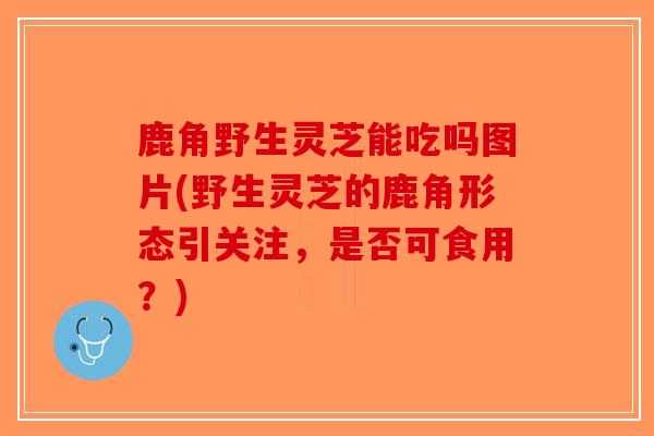 鹿角野生灵芝能吃吗图片(野生灵芝的鹿角形态引关注,是否可食用?) 鹿角野生灵芝能吃吗图片(野生灵芝的鹿角形态引关注,是否可食用?)