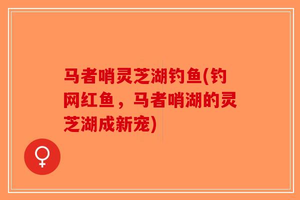 马者哨灵芝湖钓鱼(钓网红鱼，马者哨湖的灵芝湖成新宠)