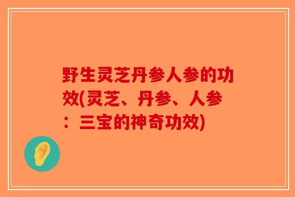 野生灵芝丹参人参的功效(灵芝、丹参、人参：三宝的神奇功效)