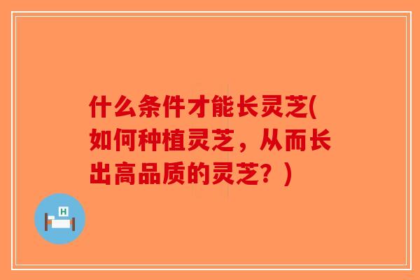 什么条件才能长灵芝(如何种植灵芝,从而长出高品质的灵芝?) 什么条件才能长灵芝(如何种植灵芝,从而长出高品质的灵芝?)