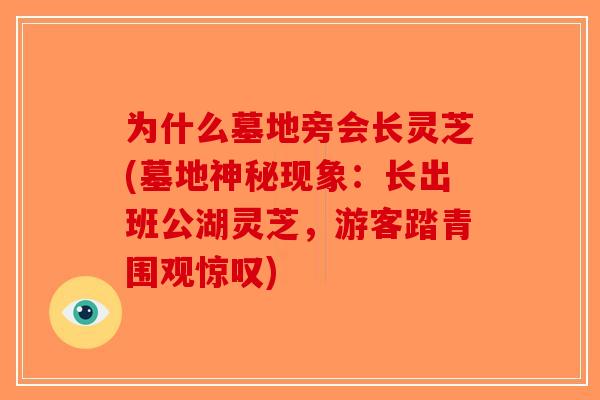 为什么墓地旁会长灵芝(墓地神秘现象:长出班公湖灵芝,游客踏青围观惊叹) 为什么墓地旁会长灵芝(墓地神秘现象:长出班公湖灵芝,游客踏青围观惊叹)
