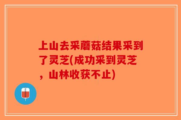 上山去采蘑菇结果采到了灵芝(成功采到灵芝，山林收获不止)
