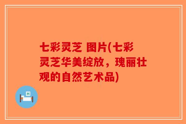 七彩灵芝 图片(七彩灵芝华美绽放，瑰丽壮观的自然艺术品)
