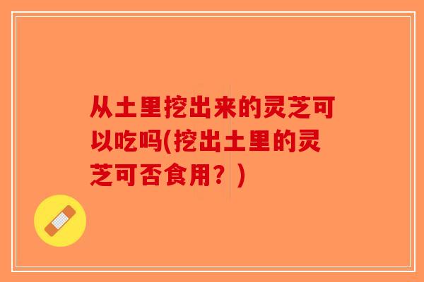 从土里挖出来的灵芝可以吃吗(挖出土里的灵芝可否食用?) 从土里挖出来的灵芝可以吃吗(挖出土里的灵芝可否食用?)