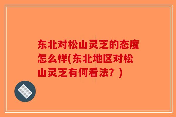 东北对松山灵芝的态度怎么样(东北地区对松山灵芝有何看法？)