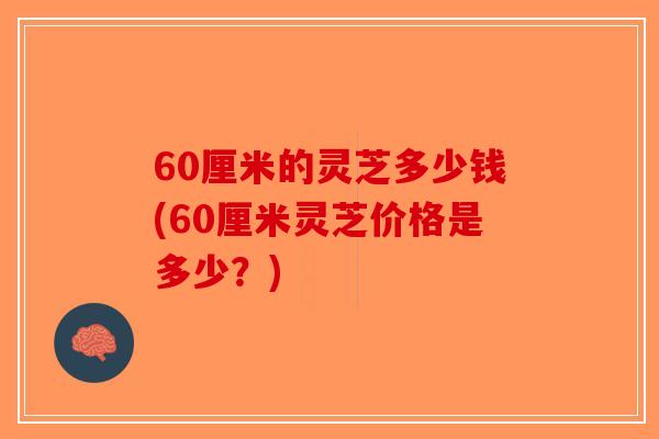 60厘米的灵芝多少钱(60厘米灵芝价格是多少？)