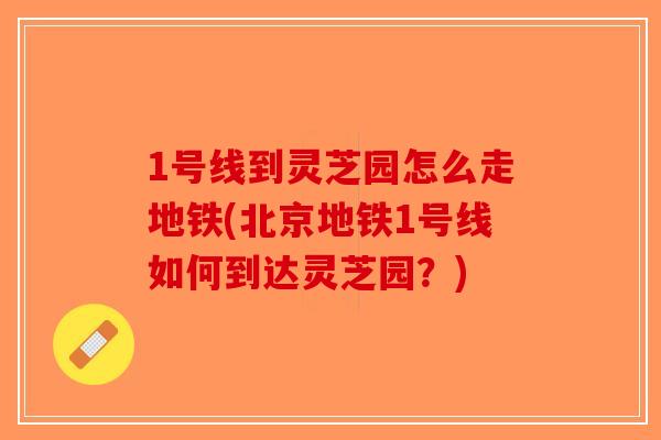 1号线到灵芝园怎么走地铁(北京地铁1号线如何到达灵芝园？)